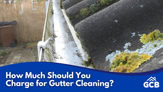 How Much Should You Charge for Gutter Cleaning?