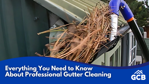 Everything You Need to Know About Professional Gutter Cleaning | Best Equipment, Tips and Tricks